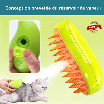 Brosse Vapeur CatZen