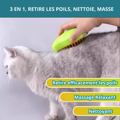 Brosse Vapeur CatZen