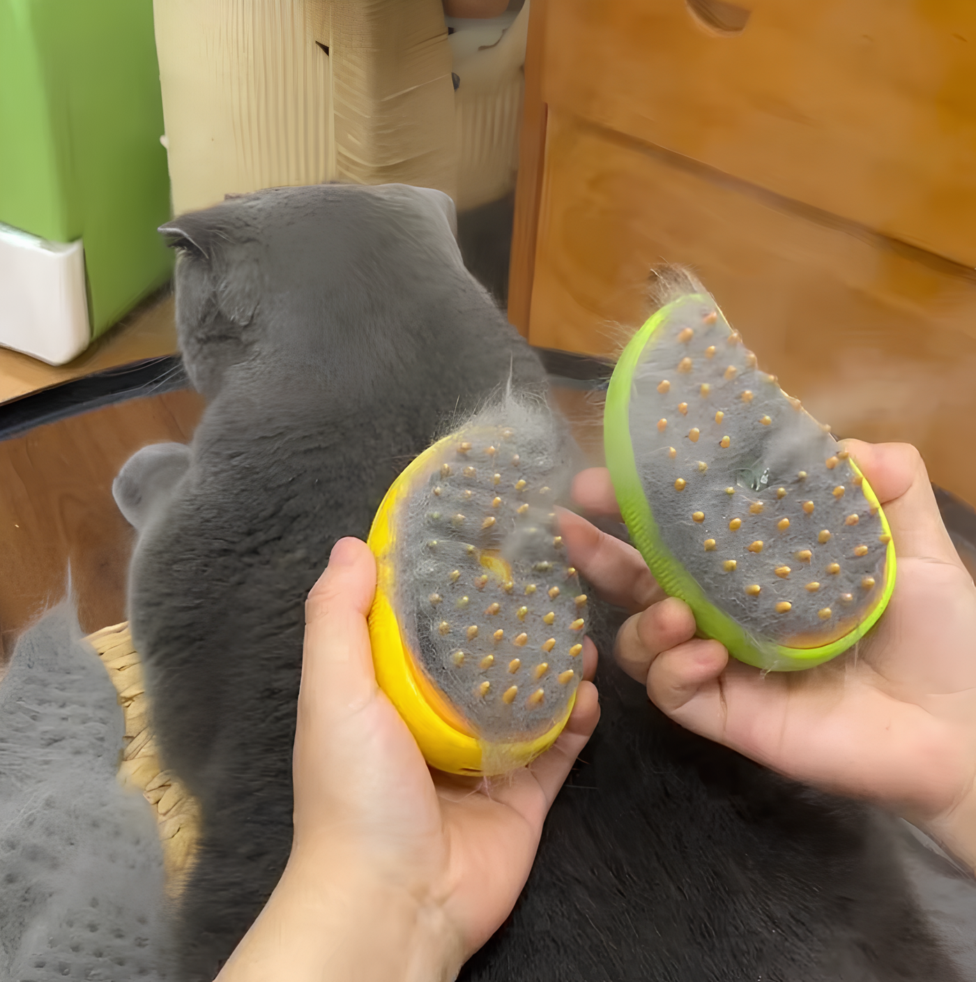 Brosse Vapeur CatZen